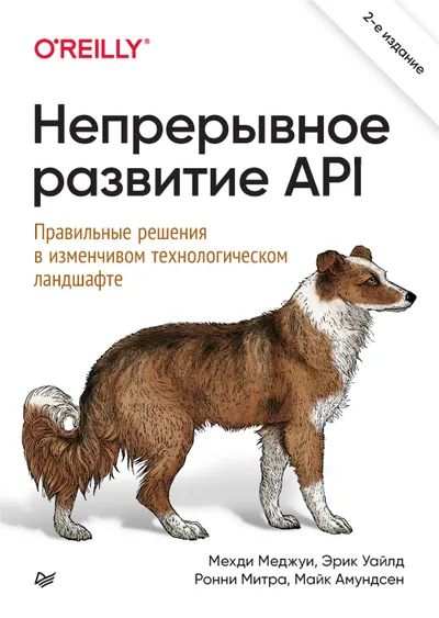 Kontinuierliche API-Entwicklung. Richtige Entscheidungen in einem sich wandelnden Technologieumfeld. 2. Auflage.