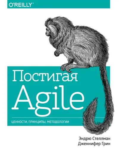 Agile verstehen. Werte, Prinzipien, Methoden