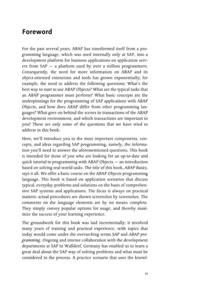 Gunther Farber and Julia Kirchner - ABAP Basics - 2007