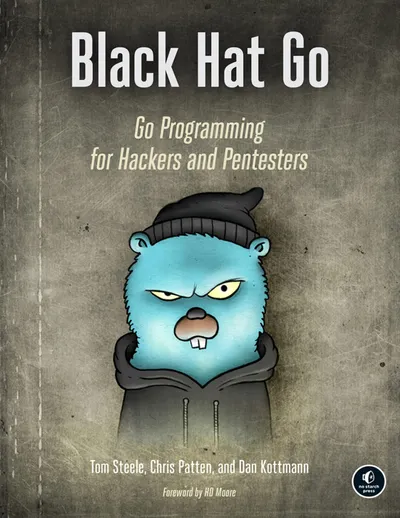 Black Hat Go: Programação em Go para hackers e pentesters