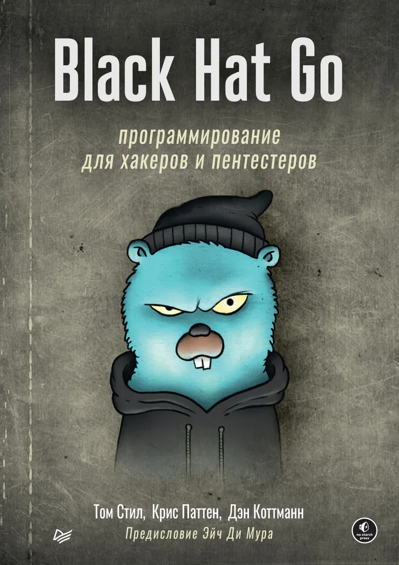 Black Hat Go: Programming for Hackers and Pentesters
