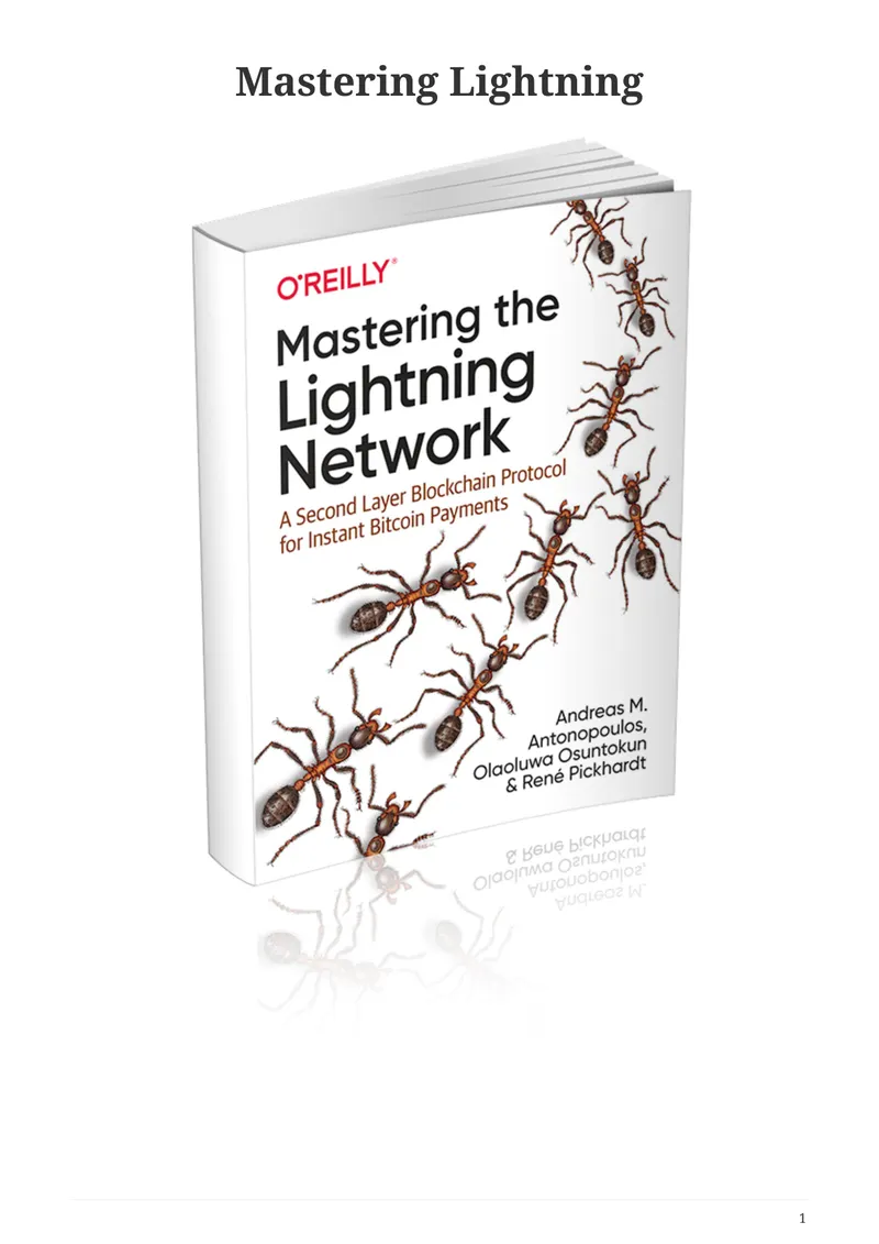 Mastering the Lightning Network: A Second Layer Blockchain Protocol for Instant Bitcoin Payments